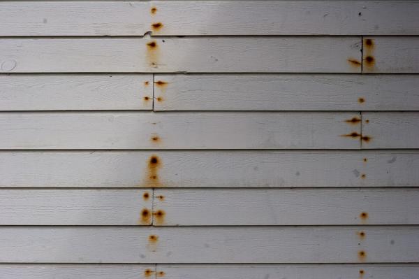 Rusted nails in wood