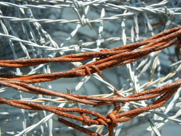 Rusty barbed wire