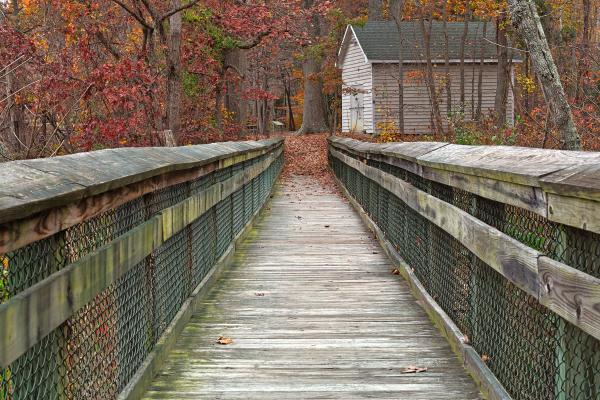 Rustic Autumn Boardwalk - HDR