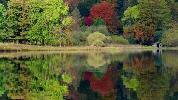 Rustic Autumn Lake