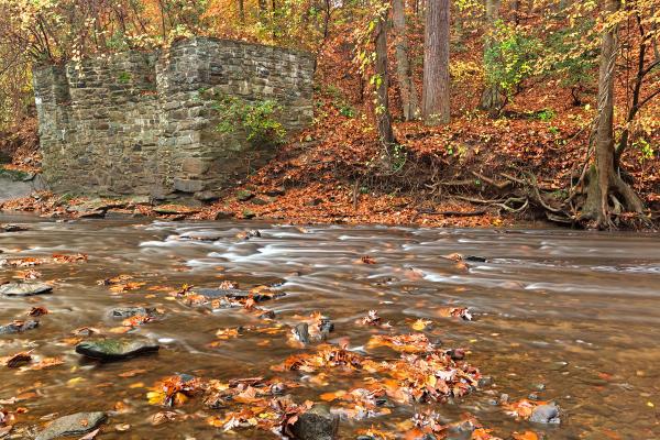 Rustic Fall Creek - HDR