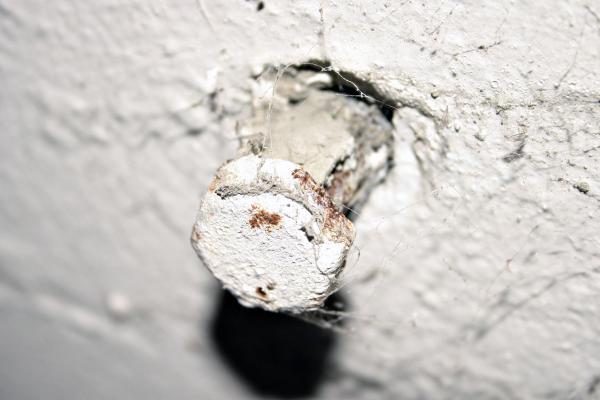Rusty &amp; Painted Bolt