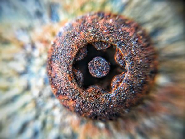 Rusty Screw