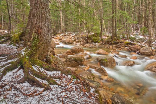 Sabbaday Winter Brook - HDR