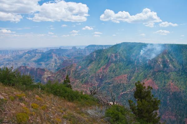 Saddle Mountain Trail