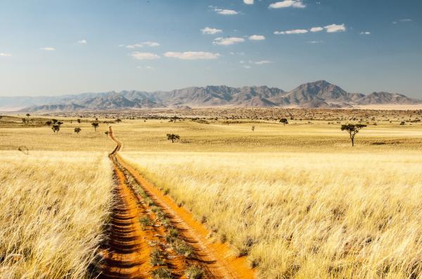 Safari Trail