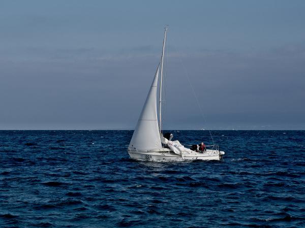 Sailboat