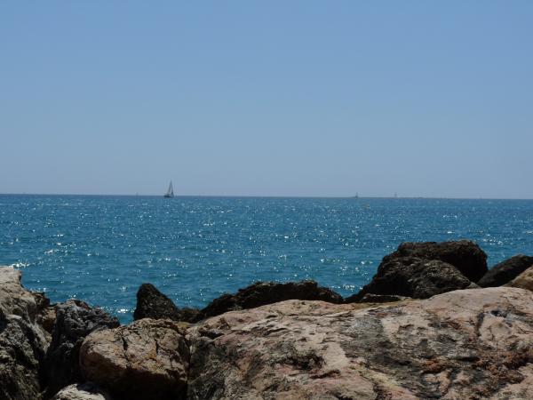 Sailboats on the sea