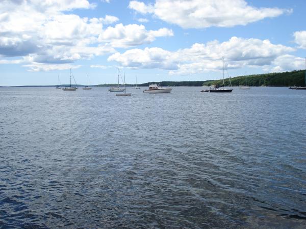Sailboats