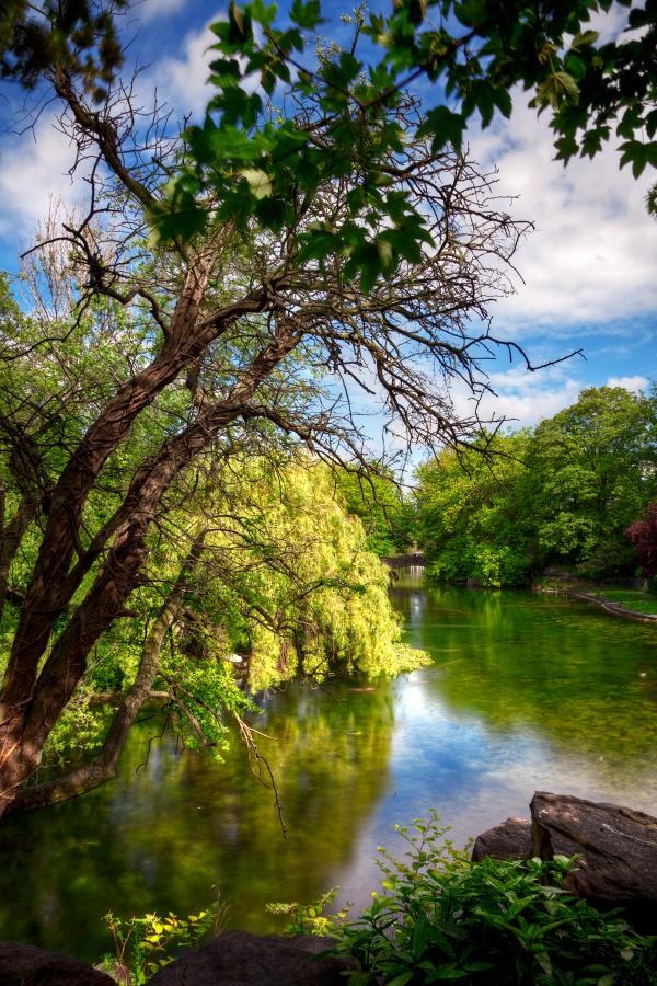 Saint Stephen's Green - HDR