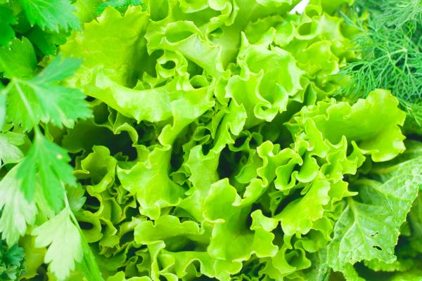 Salad