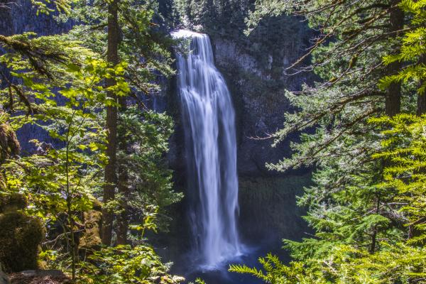 Salt Creek Falls, Oregon