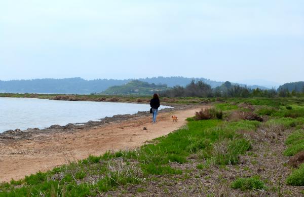 Salt marshes of Bages (France)