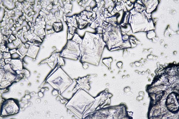Salt under the Microscope