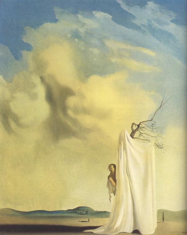 Salvador Dali painting