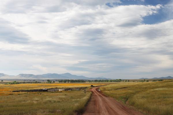 SAN RAFAEL VALLEY GRASSLANDS, SE of Patagonia, scc, az (9-27-10) - morning light -15