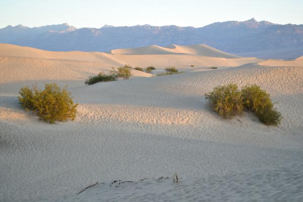 Sand Dunes