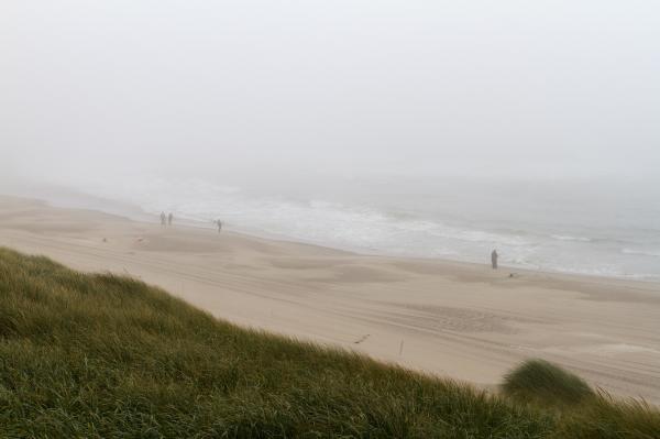 Sand Dunes