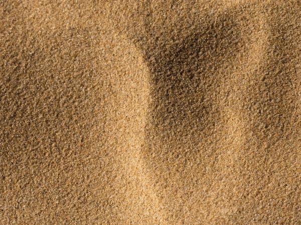 Sand Ridges Texture