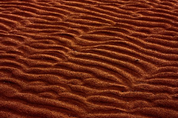 Sand Ridges Texture