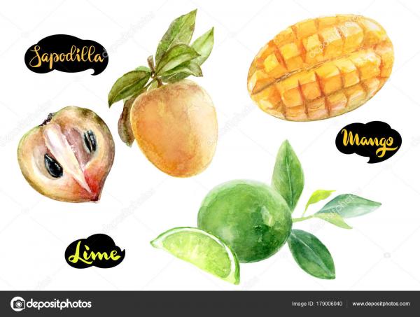 Sapodilla fruit garnish
