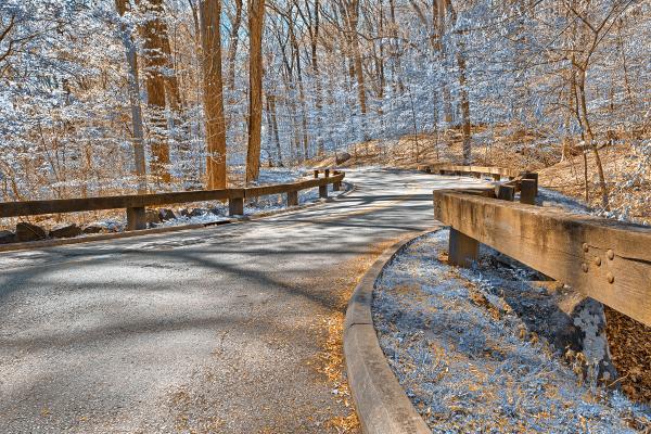 Sapphire Forest Road - HDR