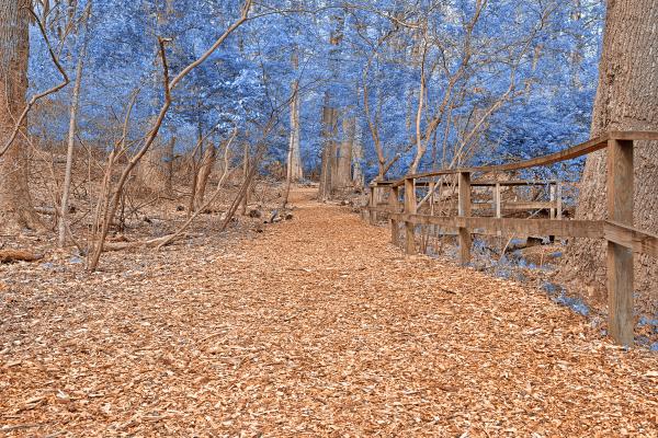 Sapphire Sanctuary Trail - HDR