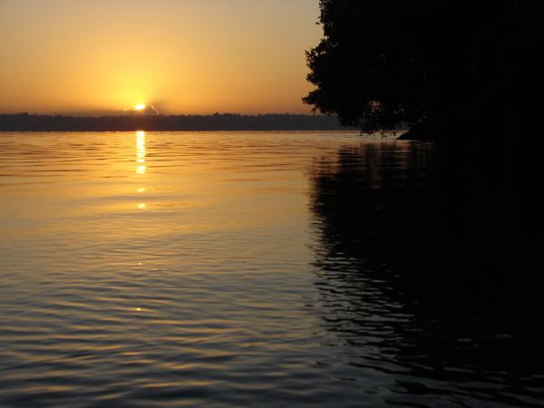 Saxacalli Sunrise