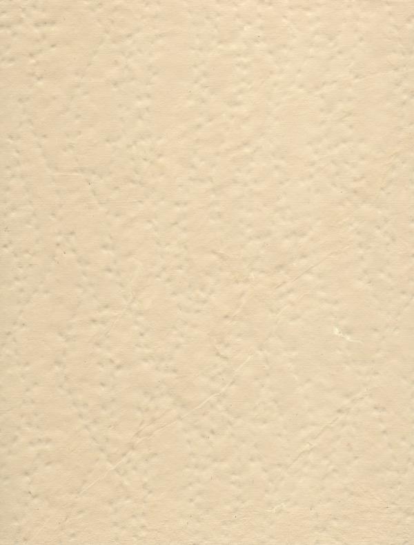 Scanned Scrapbook Paper