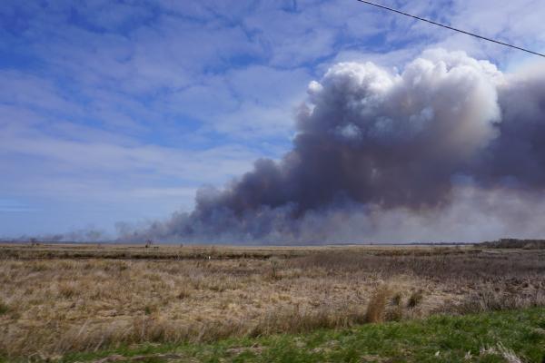 Scene prescribed fire Mackay Island NWR ncwetlands KG (7)