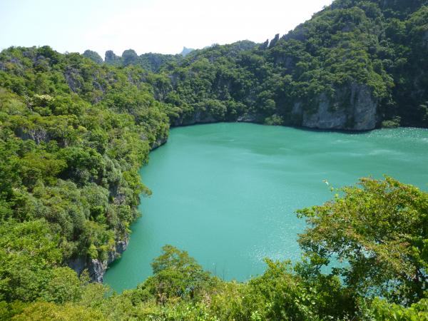 Scenic Island