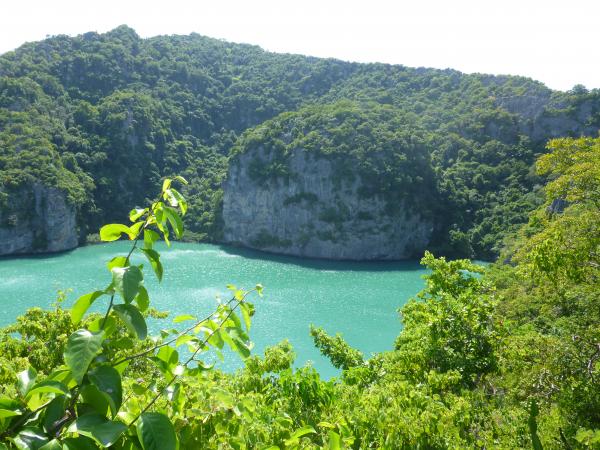 Scenic View