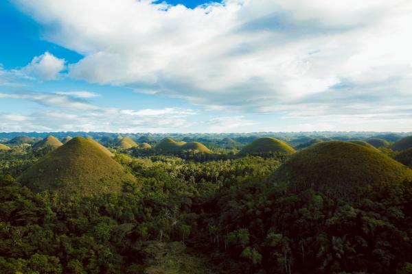 Scenic View of Hills Surrounded By Trees