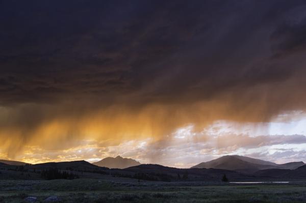 Scenic View of Landscape