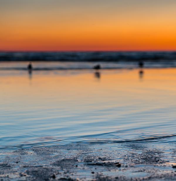 Scenic View of the Beach