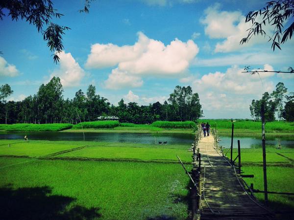 Scenic View of the Farm