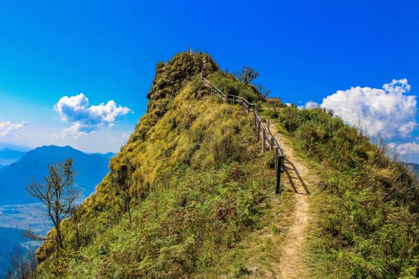 Scenic View of the Mountain