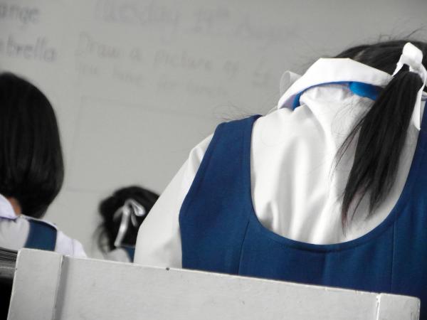 School Student Studying