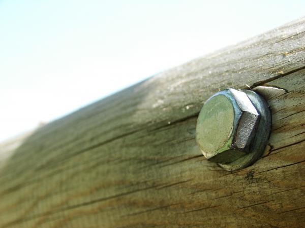 Screw in Wood Truss