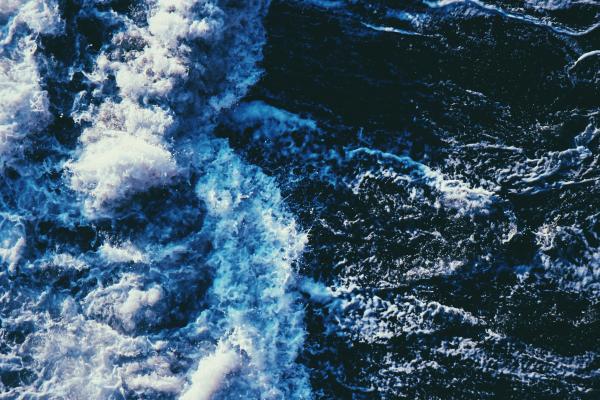 Sea