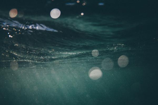 Sea