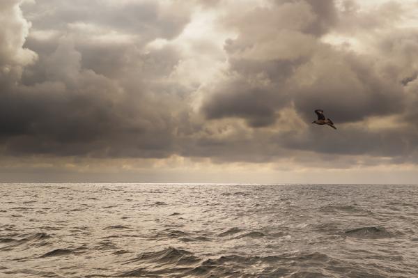 Sea