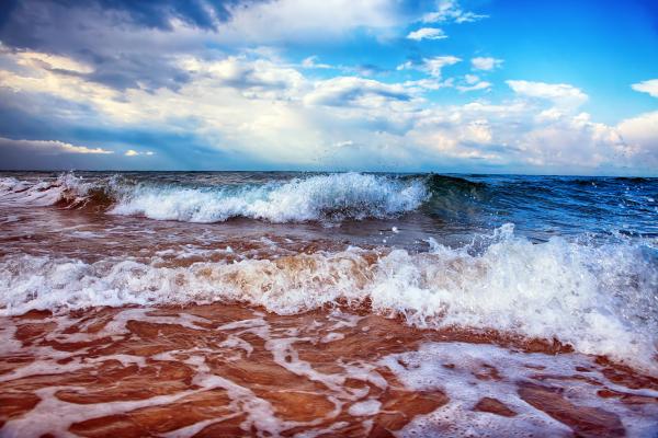 Sea