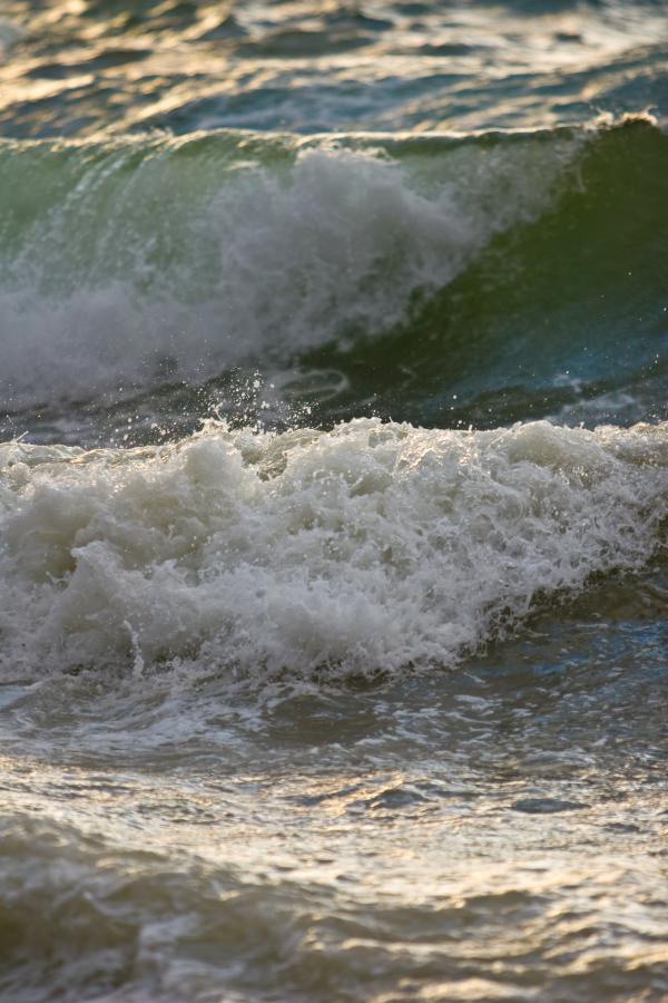 Sea