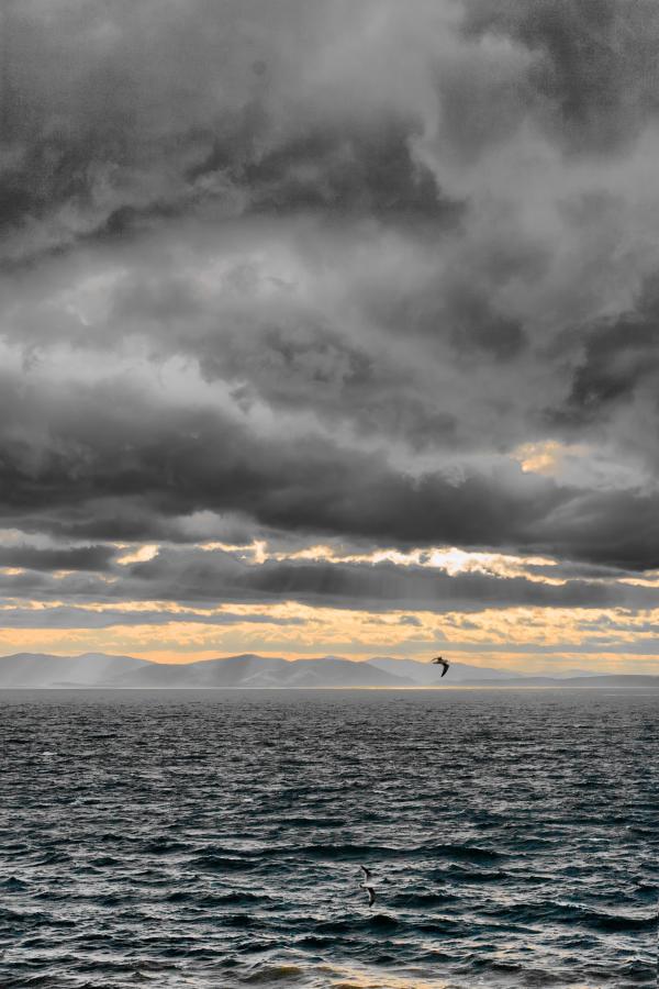 Sea