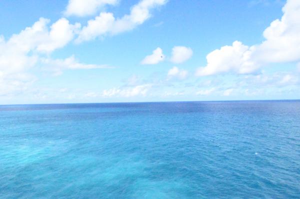 Sea & Water