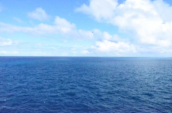 Sea & Water