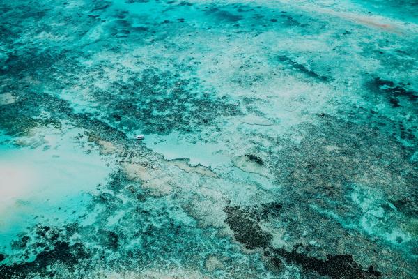 Sea Floor