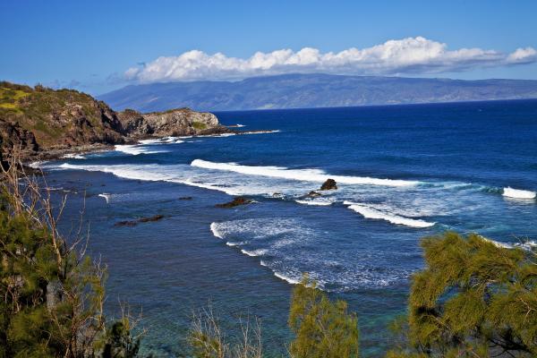 Sea landscape