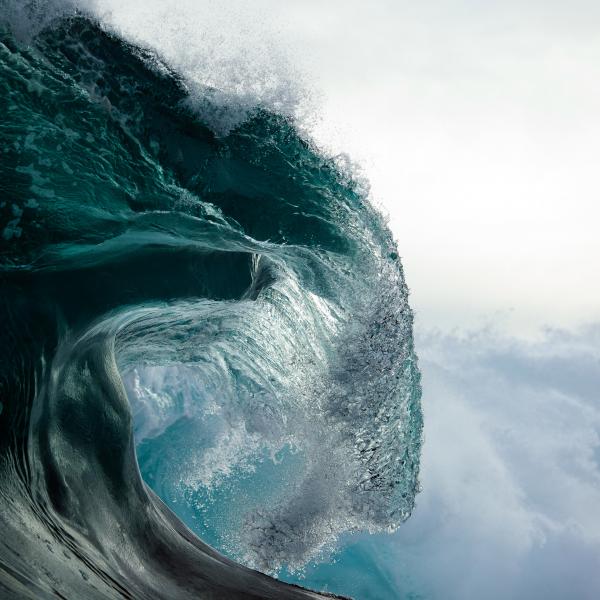 Sea Portrait